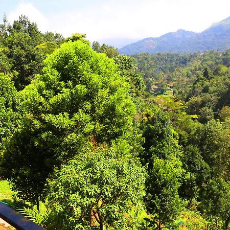 Green Magic Riverside Resort Munnar Exteriér fotografie