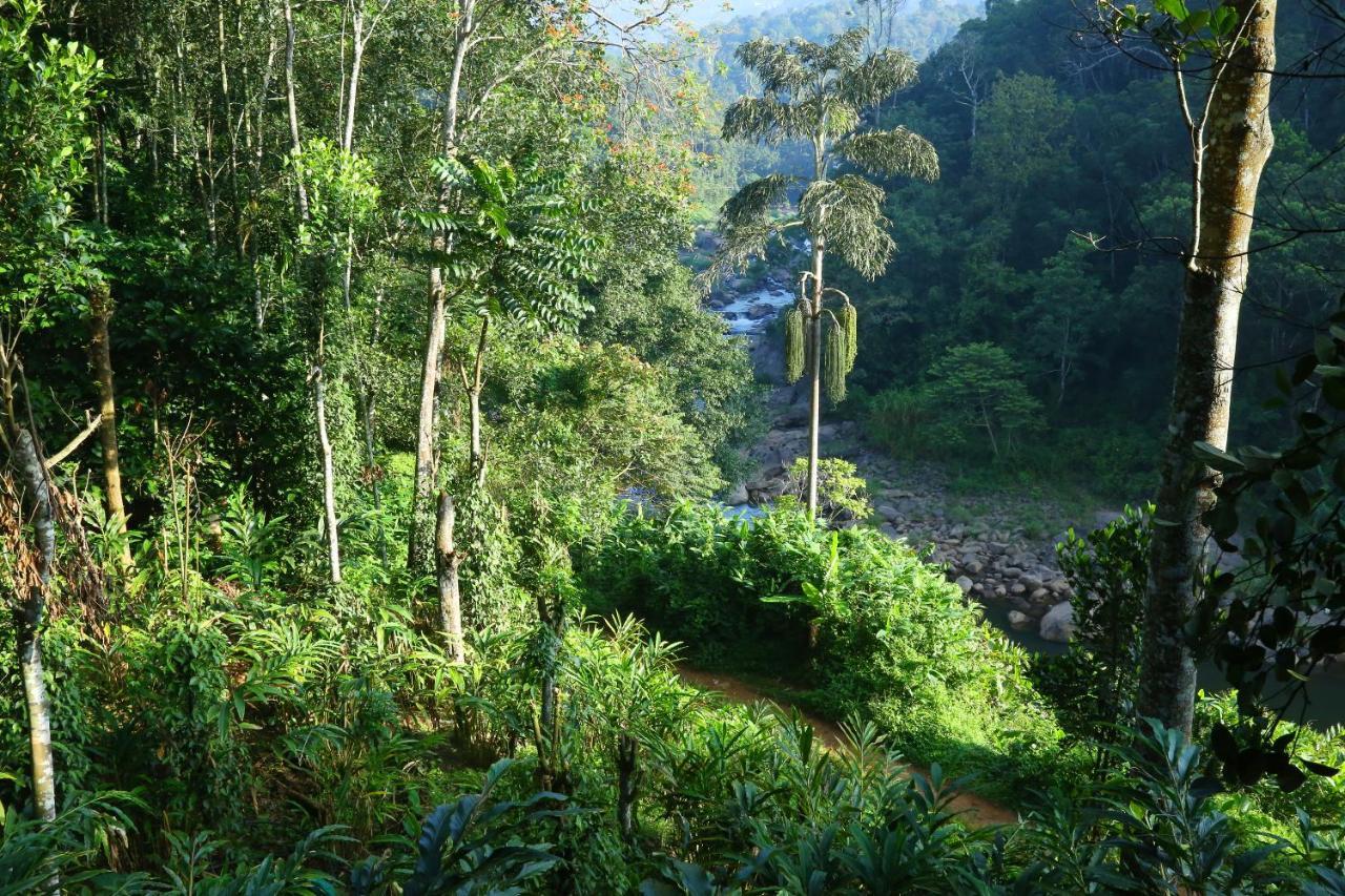 Green Magic Riverside Resort Munnar Exteriér fotografie