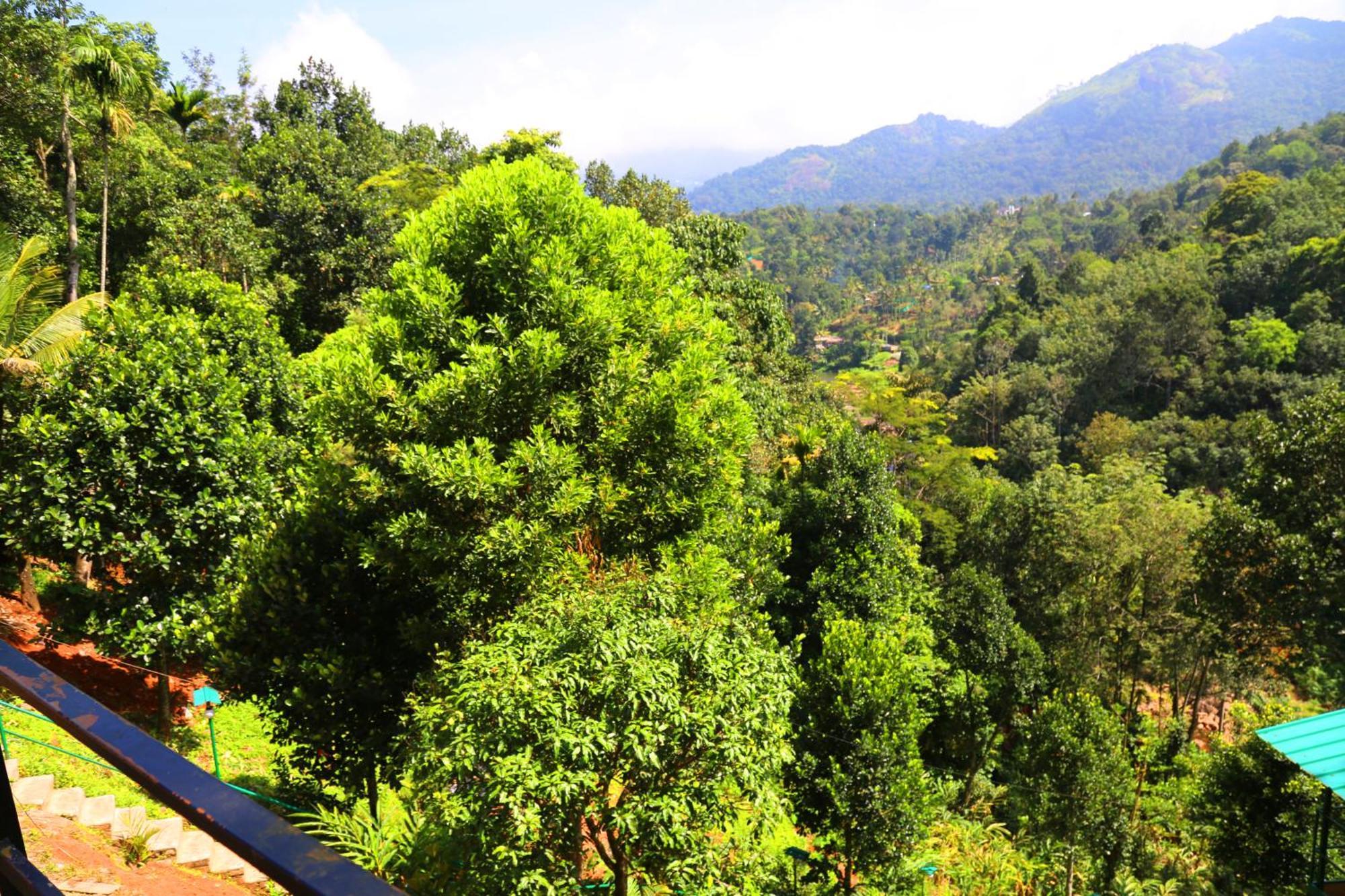 Green Magic Riverside Resort Munnar Exteriér fotografie